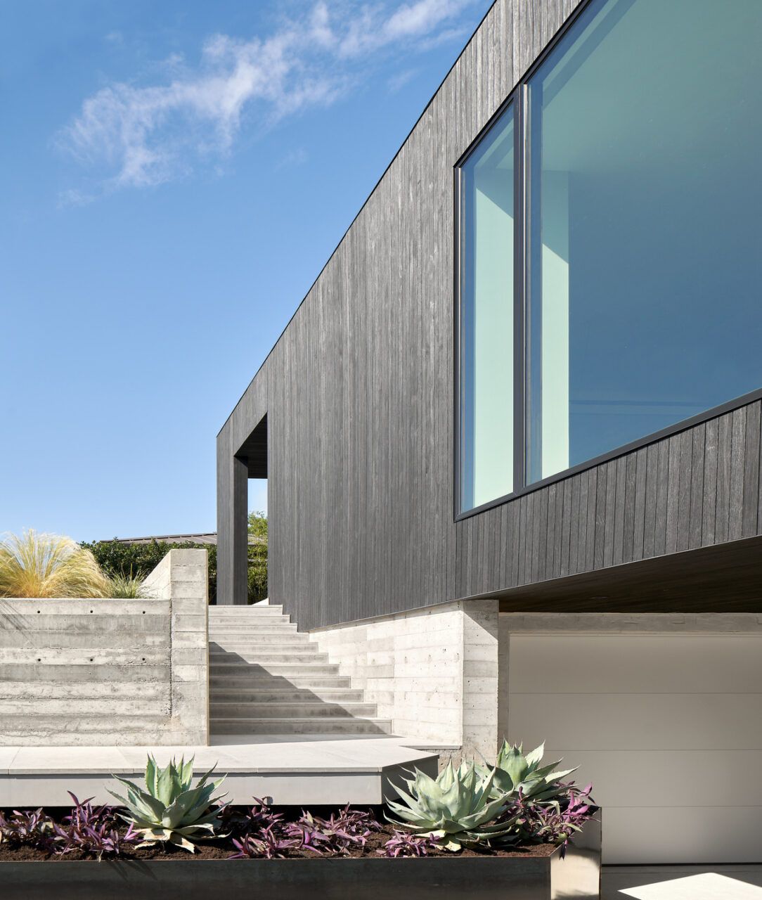 Modern® - Showroom Windows & Doors