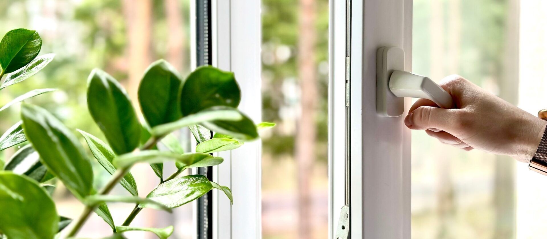 How Energy-Efficient Windows Help You Save Money and Conserve Energy - Showroom Windows & Doors